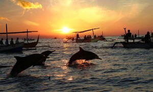 Lovina sunrise dolphin (galeriwisata.wordpress.com)