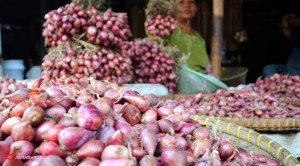 Indonesia Banjir Impor Bawang Ilegal