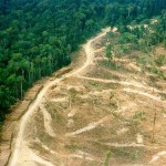 Kawasan Ekosistem Leuser Terus Terancam