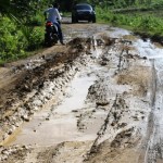 Tampak Jalan Pulo Aca - Jaba tepatnya di pinggir paya laoet berlumpur, gambar di rekam rabu 25 Desember 2013 (Tarmizi A. Gani)