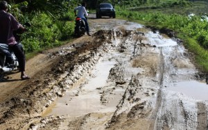 Tampak Jalan Pulo Aca - Jaba tepatnya di pinggir paya laoet berlumpur, gambar di rekam rabu 25 Desember 2013 (Tarmizi A. Gani)