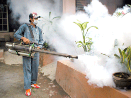 Mulai Diserang DBD, Warga Harapkan Fogging