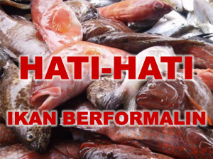 Awas, Ikan Berformalin Beredar di Aceh Utara