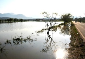 Sawah Terendam, Petani Tuding Pemkab Abdya Tidak Peka