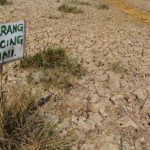 Ratusan Hektar Sawah di Abdya Kekeringan