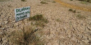 Ratusan Hektar Sawah di Abdya Kekeringan