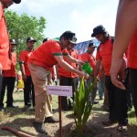 Produksi Kelapa di Aceh Menurun