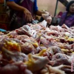 Harga Ayam dan Ikan Melonjak Selama Bulan Maulid