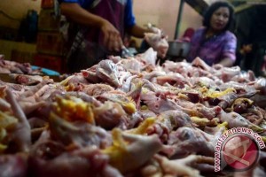 Harga Ayam dan Ikan Melonjak Selama Bulan Maulid