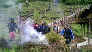 Bakong ijo Leuser