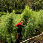 Berpose dengan Ganja