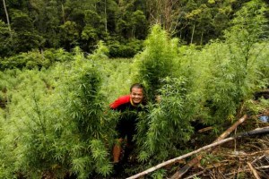 Berpose dengan Ganja