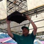 Lomba Kicau Burung