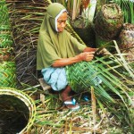 Keranjang Toge Geudong Tampu Mulai Layu