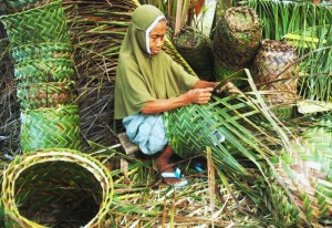 Keranjang Toge Geudong Tampu Mulai Layu