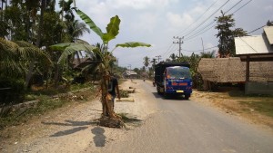 Warga Tanam Pohon Pisang di Ruas Jalan