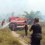 Terbakar, 50 Hektar Lahan Sawit dan Gambut di Aceh Selatan