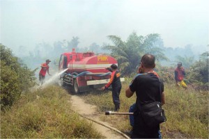 Terbakar, 50 Hektar Lahan Sawit dan Gambut di Aceh Selatan