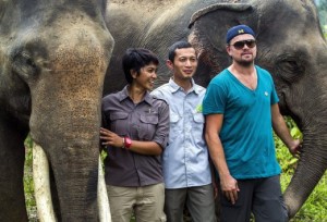 DiCaprio visits Leuser Ecosystem in Aceh