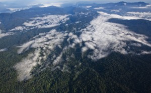 Kawasan Ekosistem Leuser dari udara