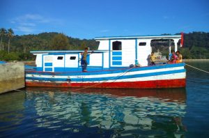 bocah pulau nasi