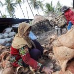 Arang Batok Kelapa - (Photo PM/Oviyandi Emnur)