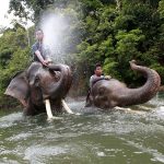 Patroli Gajah Conservation Response Unit (CRU) Sampoiniet. (PM/Oviyandi Emnur)