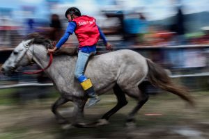 Tanpa pelana joki-joki cilik memacu kuda dengan kecepatan penuh. Beradu tangkas untuk menjadi sang juara. (Foto PM/Oviyandi Emnur)