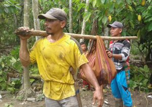 Seminggu Menghilang, Kakek Lansia di Acut Ditemukan Membusuk di Kebun