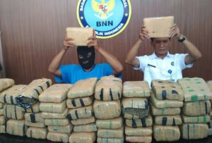 BNN Gagalkan Penyelundupan 140 Kg Ganja Aceh ke Sumut