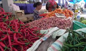 Harga Cabai Merah di Meulaboh Tak Lagi “Pedas”, Kini Rp 40 Ribu per Kilo