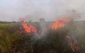 BMKG : Dua Titik Panas Terpantau di Kecamatan Syiah Kuala