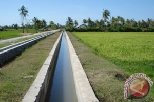 100 Petani Ikut Pelatihan Teknis Optimalisasi Lahan dan Air