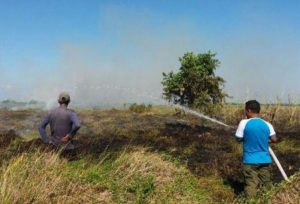 Diduga Bakar Lahan Gambut, Tiga Warga Meulaboh Ditangkap Polisi