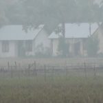 Kebakaran Lahan Gambut, Kabut Asap Selimuti Pemukiman Warga