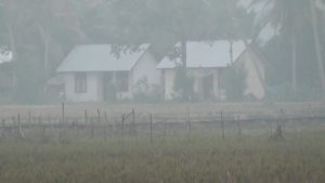 Kebakaran Lahan Gambut, Kabut Asap Selimuti Pemukiman Warga