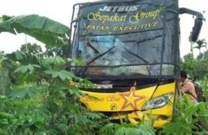 Bus Sempati Star Kembali Alami Kecelakaan, Kali Ini Masuk ke Kebun Warga