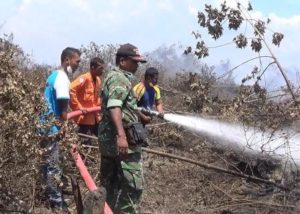 TNI dan BPBD Terus Berupaya Padamkan Kebakaran Lahan Gambut di Aceh Barat