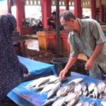 Cuaca Buruk, Harga Ikan Laut di Aceh Barat Melonjak Naik