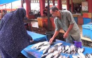 Cuaca Buruk, Harga Ikan Laut di Aceh Barat Melonjak Naik