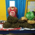 Polres Aceh Utara Tangkap Bandar Ganja, Temukan 6 Kg Barang Bukti