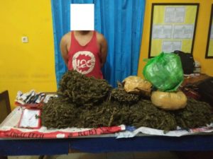 Polres Aceh Utara Tangkap Bandar Ganja, Temukan 6 Kg Barang Bukti