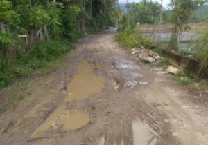 Sering Dilalui Truk Proyek, Jalan Tokoh II Rusak Parah