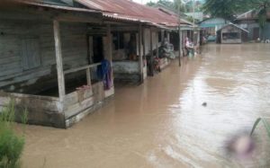 Banjir di Aceh Tenggara, 1.062 Jiwa Mengungsi