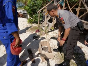 Kapolres Aceh Singkil Temukan Tanaman Ganja di Pulau Sikandang 