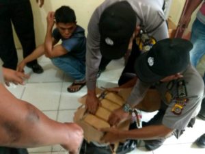 Terjaring Razia, Warga Aceh Utara Gagal Seludupkan 20 Bal Ganja ke Riau