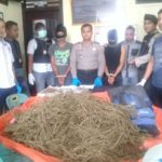 Miliki Ganja, Dua Pemuda Darul Makmur Terancam Hukuman Maksimal 20 Tahun Penjara