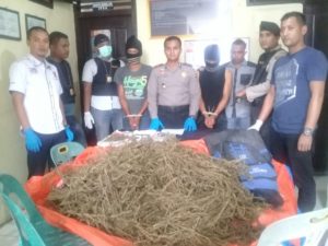 Miliki Ganja, Dua Pemuda Darul Makmur Terancam Hukuman Maksimal 20 Tahun Penjara