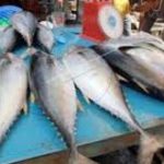 Stok Menipis, Harga Ikan Segar di Abdya Naik