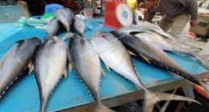 Stok Menipis, Harga Ikan Segar di Abdya Naik